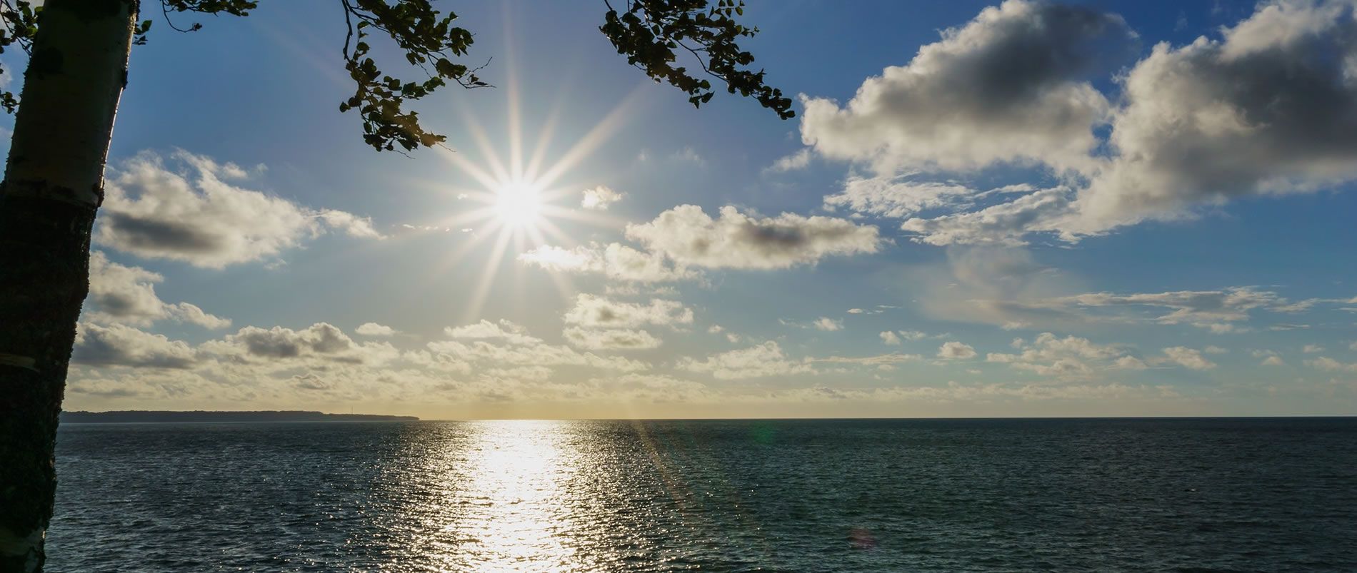 Sonnenuntergang über dem Meer mit einigen Wolken am Himmel und einem Ast im Vordergrund.