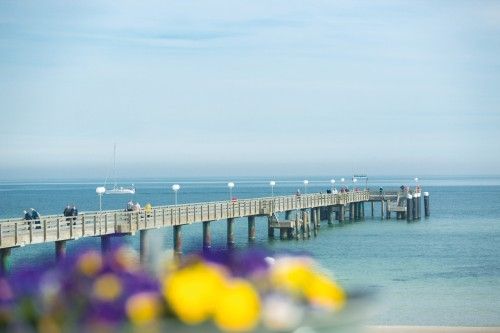 Langer Pier mit Spaziergängern, blumiger Vordergrund und Segelboot im Hintergrund bei klarem Himmel.